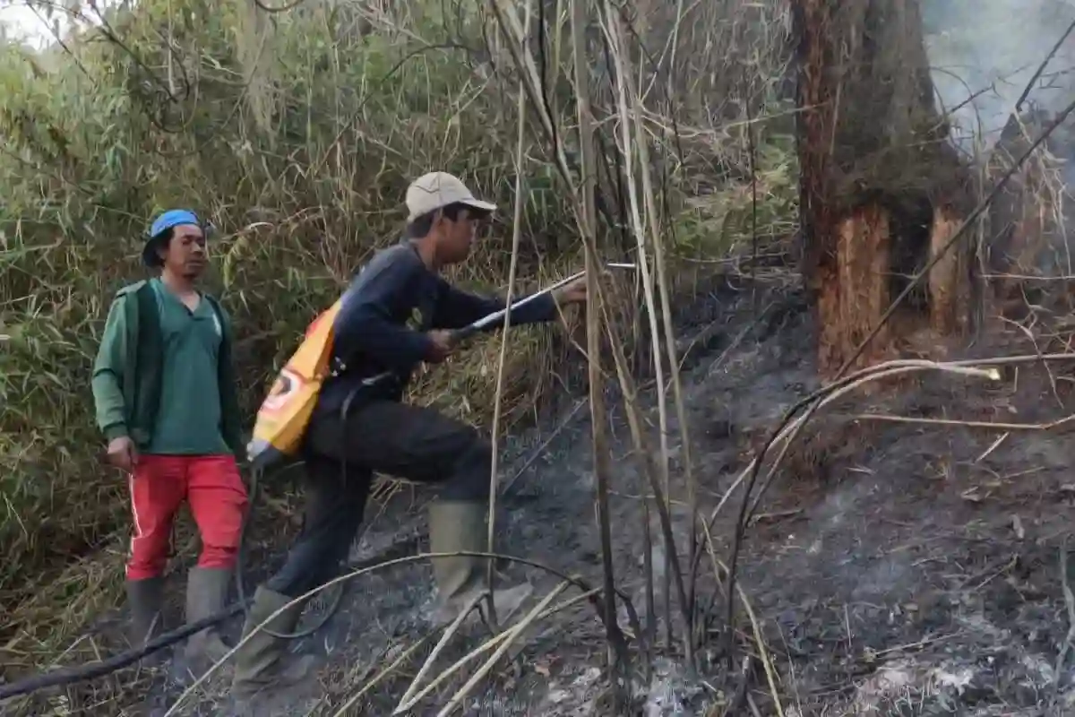 Penutupan Total Pendakian Gunung Semeru Setelah Kebakaran Hutan