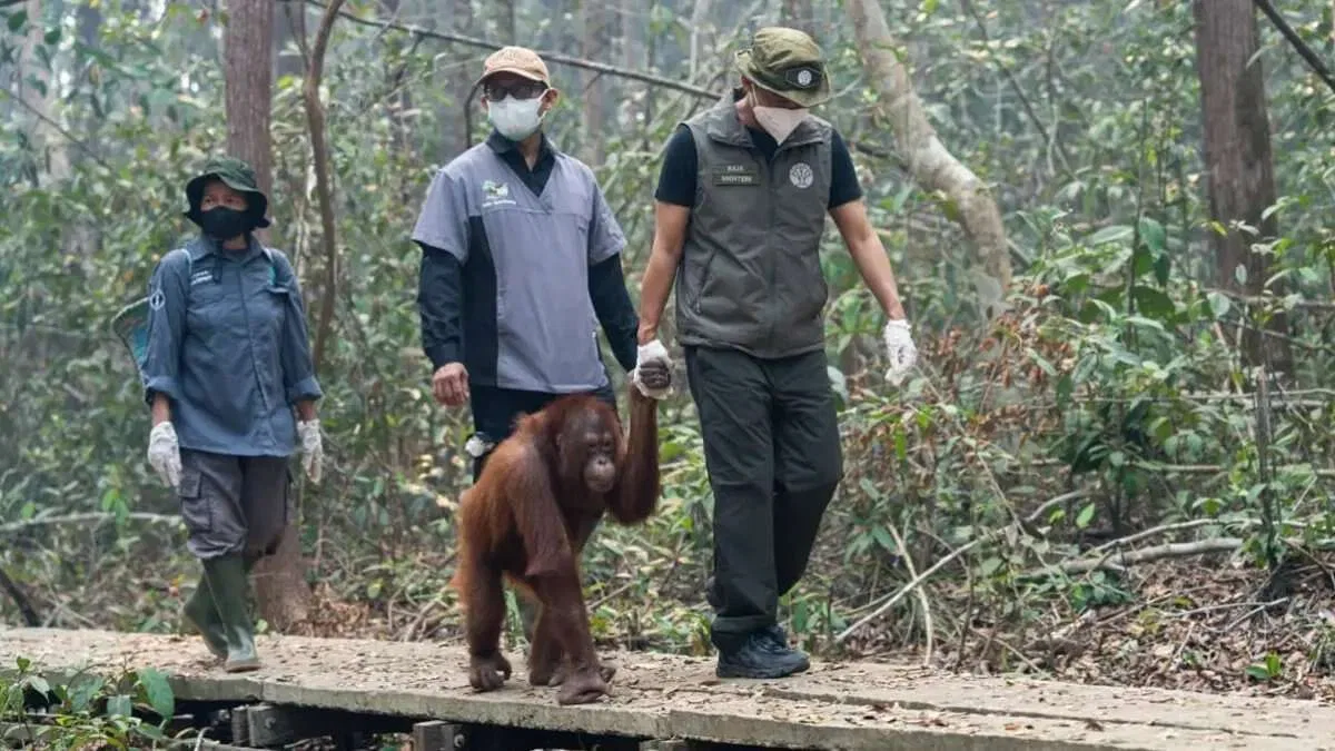 Penyelamatan Satwa Terdampak Karhutla dan Inisiatif Kemenhut