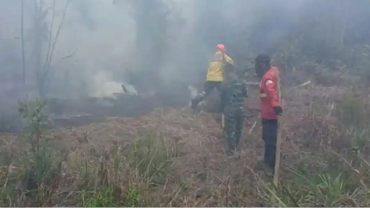 Kebakaran Hutan Berulang: Sorotan PDIP atas Tata Ruang dan Penegakan Hukum