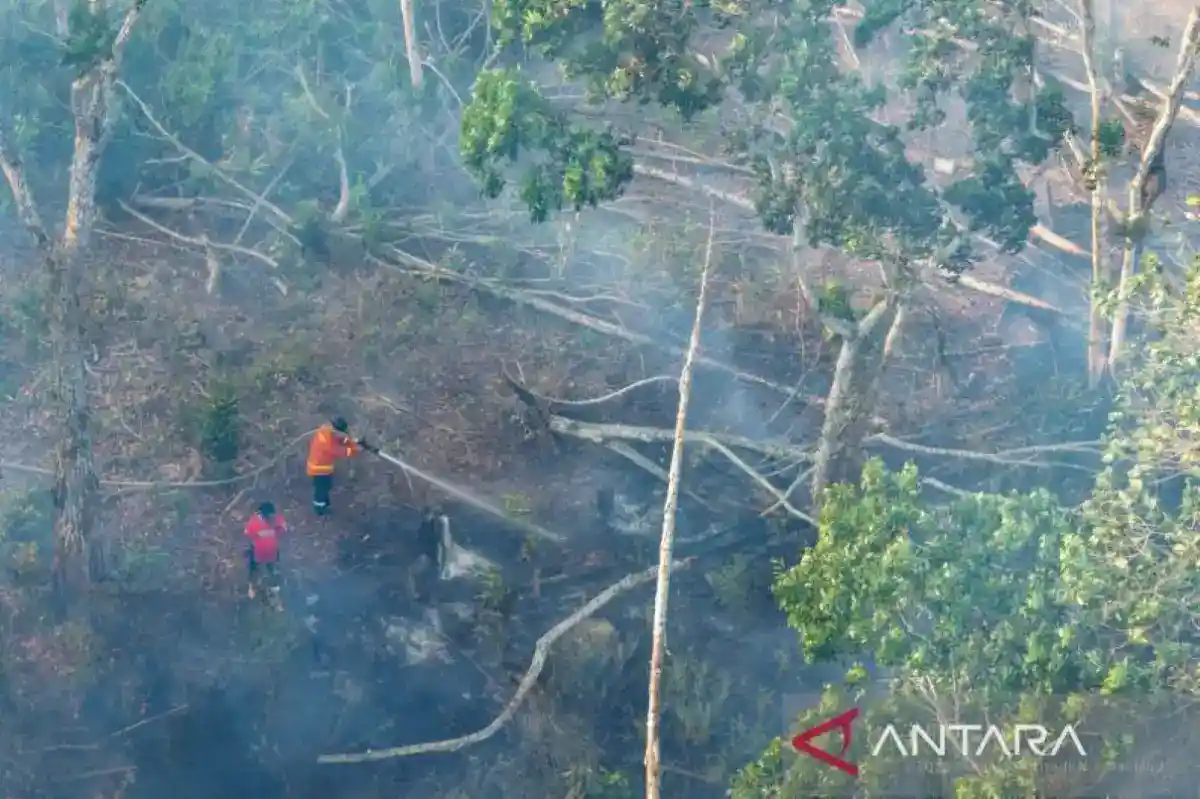 Karhutla Indonesia: Pencegahan Dini Jadi Kunci Menghadapi Kebakaran Berulang