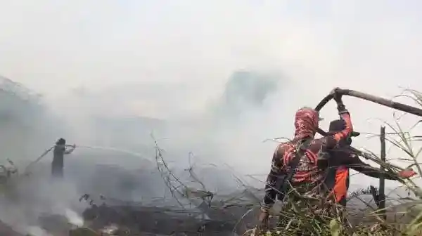 Api Gambut Kembali Berkobar di Sampit, Tujuh Kendaraan Dikerahkan