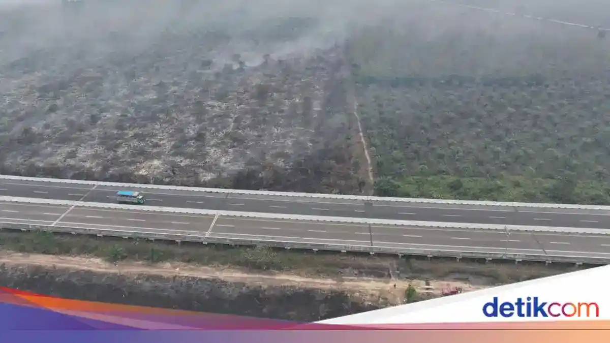Sebaran Hotspot Karhutla Sumsel Menurun, OKI Masih Tertinggi