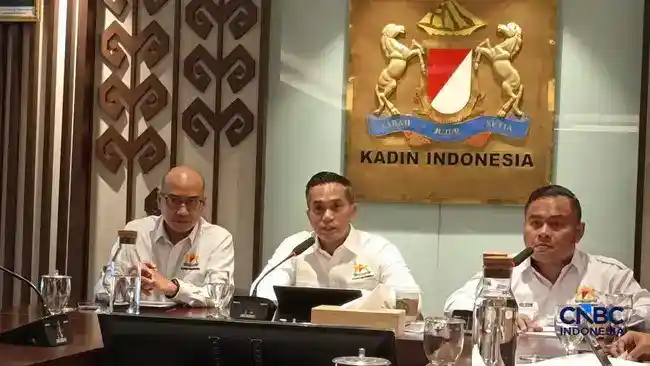 Kadin Dukung Penindakan Karhutla, Anindya Minta Bukti dan Pencegahan Diperkuat