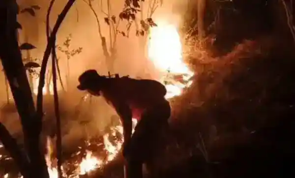 Karhutla di Taman Nasional Gunung Ciremai: Api Meluas dan Pemadaman Terkendala