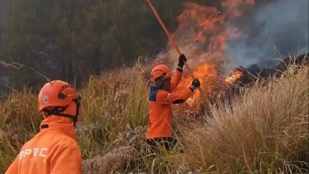 Duka Karhutla Bromo: Enam Korban Jiwa dan Sorotan atas Keselamatan Petugas