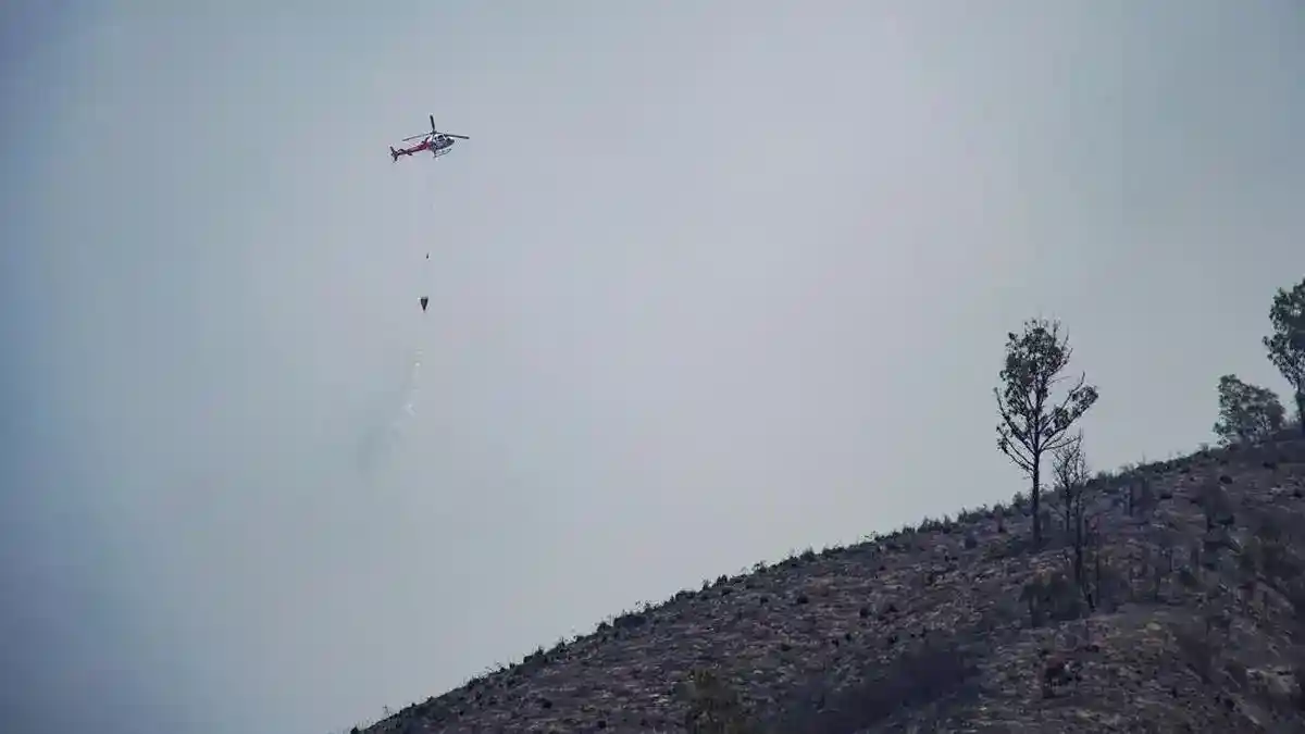BNPB Kerahkan Dukungan Udara untuk Tangani Karhutla di Sejumlah Gunung Jawa Timur