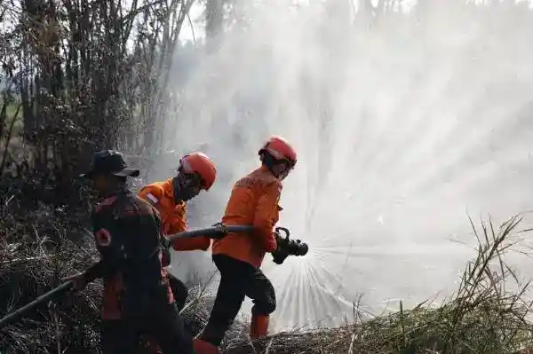 Pengendalian Karhutla Diperkuat, 71.878 Personel Dikerahkan di Enam Provinsi