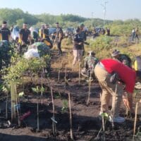 TNI Kodim 0820/Probolinggo Tanam 1.000 Pohon di Pesisir dan Pegunungan untuk Pulihkan Lingkungan