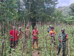 Ketua PYCH Maybrat Apresiasi Bantuan Pertanian dari Presiden RI, Tegaskan Komitmen Jaga Keamanan Natal dan Tahun Baru