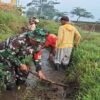 Optimalkan Pasokan Air Sawah, Babinsa Turun Tangan Bersihkan Saluran Irigasi