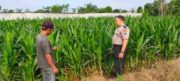 Polsek Wonomerto Polres Probolinggo Kota Bergerak Dampingi Petani Jagung
