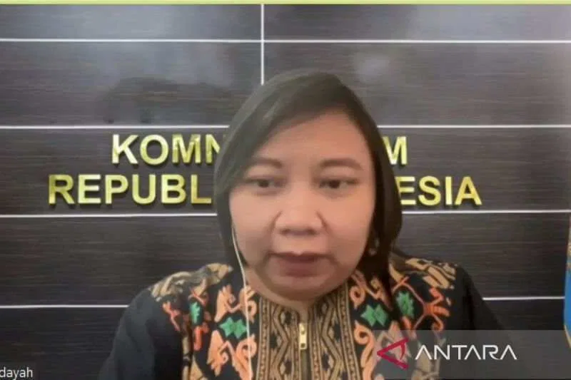 Tim Ad Hoc Komnas HAM untuk Penyidikan Peristiwa Kuda Tuli