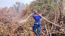 Jaga Gambut Tetap Aman, Satgas Darat Lanud Sjamsudin Noor Perkuat Pembasahan Berkelanjutan
