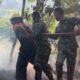 Gerak Cepat, TNI dan Tim Gabungan Berjuang Jinakkan Kebakaran Hutan dan Lahan