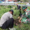 Sambut HUT Ke-81 TNI Tahun 2026, Kodim 1714/Puncak Jaya Bersama Rakyat Menanam Pohon Demi Masa Depan Baik