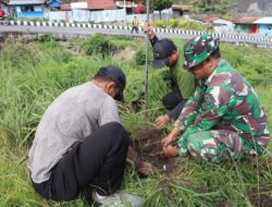 Sambut HUT Ke-81 TNI Tahun 2026, Kodim 1714/Puncak Jaya Bersama Rakyat Menanam Pohon Demi Masa Depan Baik