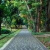 Wisata Malam di Jakarta: Taman Terbuka 24 Jam sebagai Opsi Ramah Anggaran