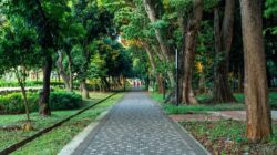 Menikmati Malam di Taman Jakarta: Alternatif Wisata Gratis