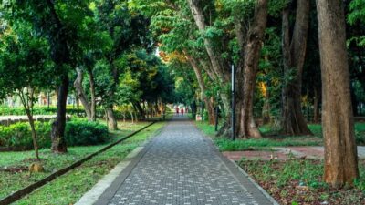 Menikmati Malam di Taman Jakarta: Alternatif Wisata Gratis