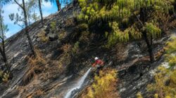 Berhasil Padam, BPBD Jatim Terus Antisipasi Karhutla di Gunung Bromo