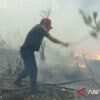 Penanganan Kebakaran Hutan dan Lahan Terus Dilakukan di Seluruh Indonesia