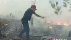 Penanganan Kebakaran Hutan dan Lahan Terus Dilakukan di Seluruh Indonesia