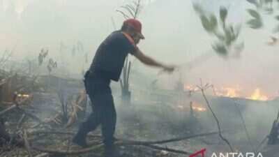 Penanganan Kebakaran Hutan dan Lahan Terus Dilakukan di Seluruh Indonesia