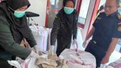 Pengamanan 1,23 Ton Daging Hiu di Kupang