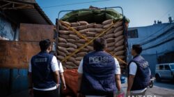 Membongkar Kasus Penyelundupan Kacang Tanah Ilegal di Jakarta