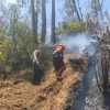 Status Terkini Penanganan Kebakaran di Gunung Butak