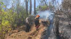 Status Terkini Penanganan Kebakaran di Gunung Butak
