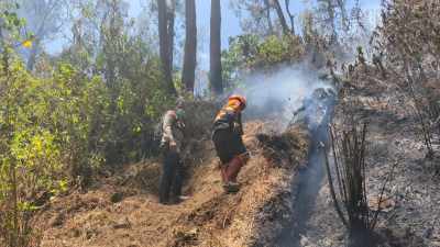 Status Terkini Penanganan Kebakaran di Gunung Butak