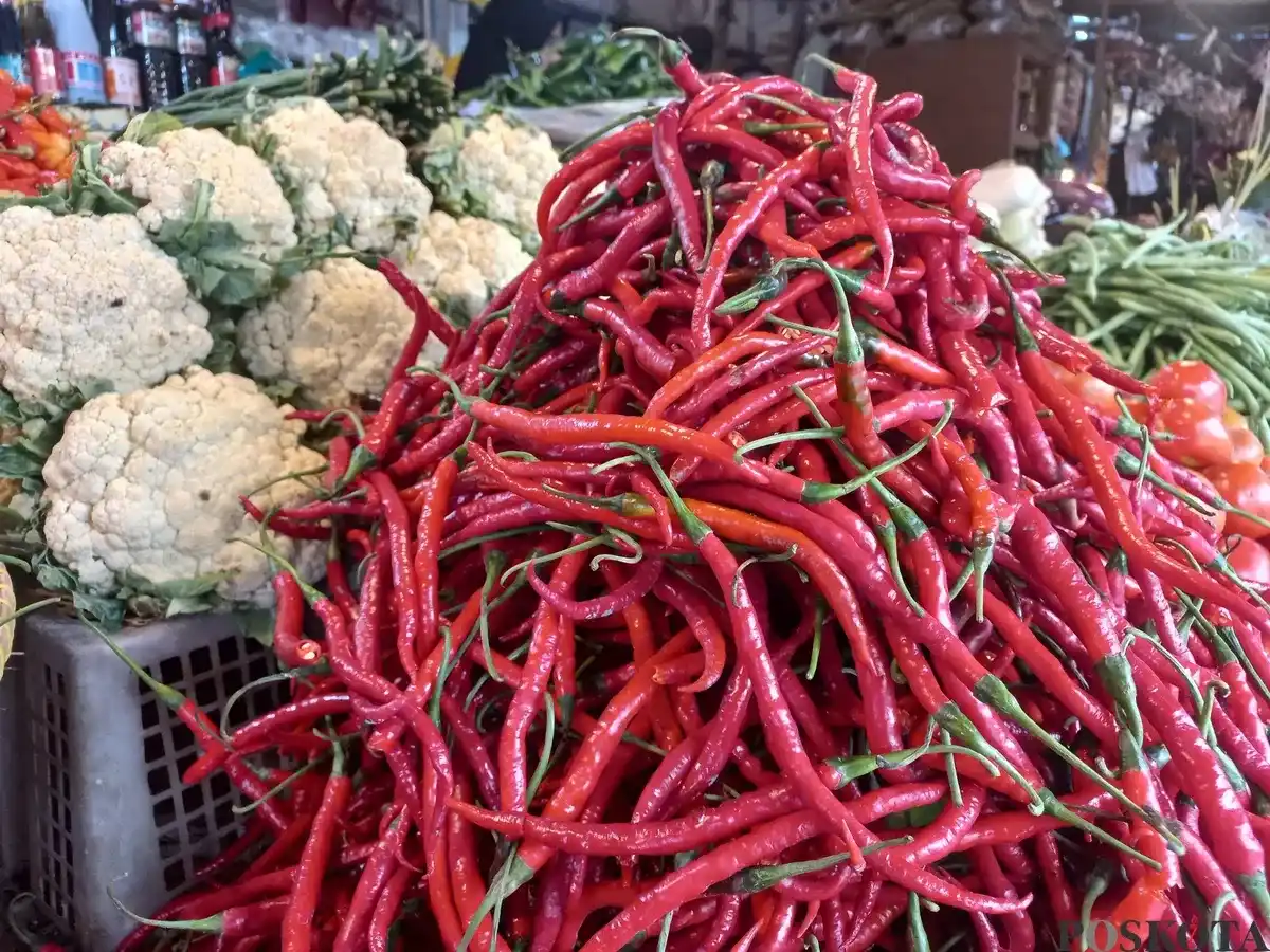 Kenaikan Harga Cabai di Tigaraksa Akibat El Niño