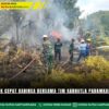 Gerak Cepat Babinsa Bersama Tim Karhutla Padamkan Api