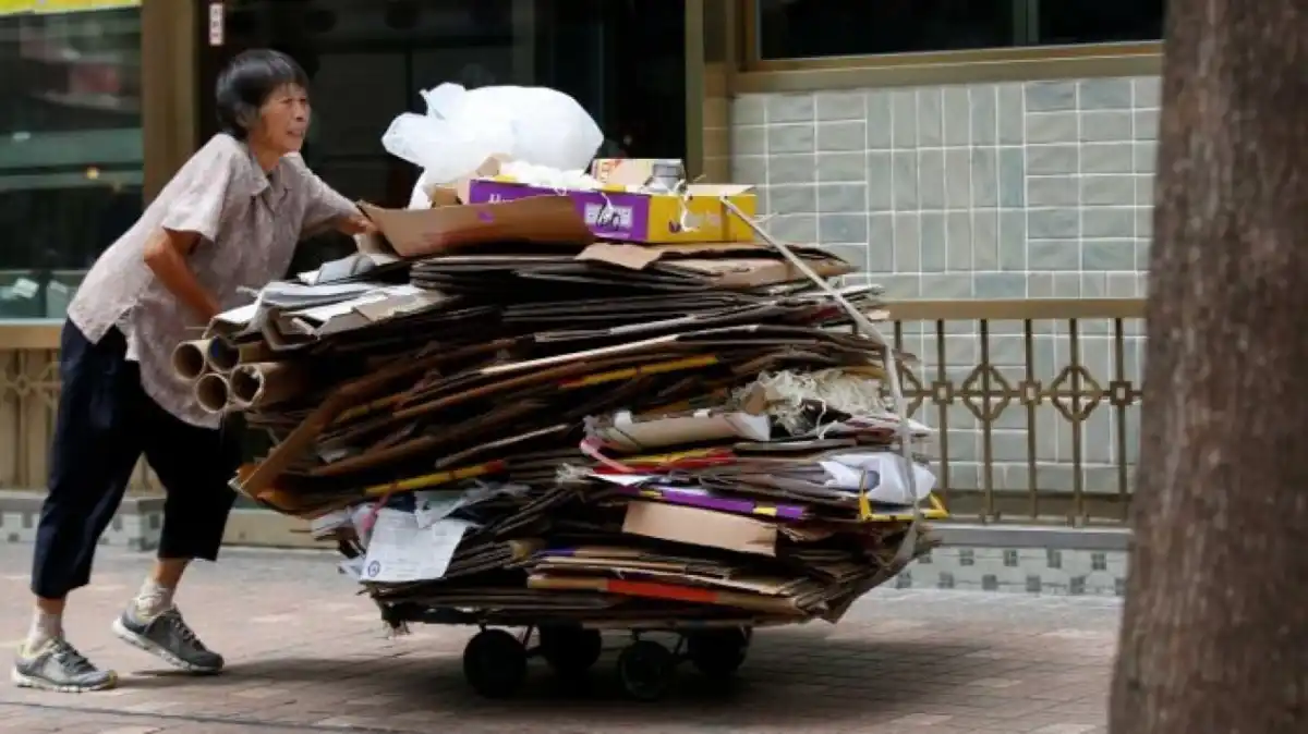 Peluang Usaha Kardus Bekas dari Rumah dengan Modal Terjangkau