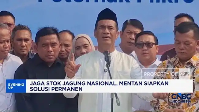 Skema Kerja Sama Mentan untuk Menekan Harga Pakan dan Menjaga Stok Jagung