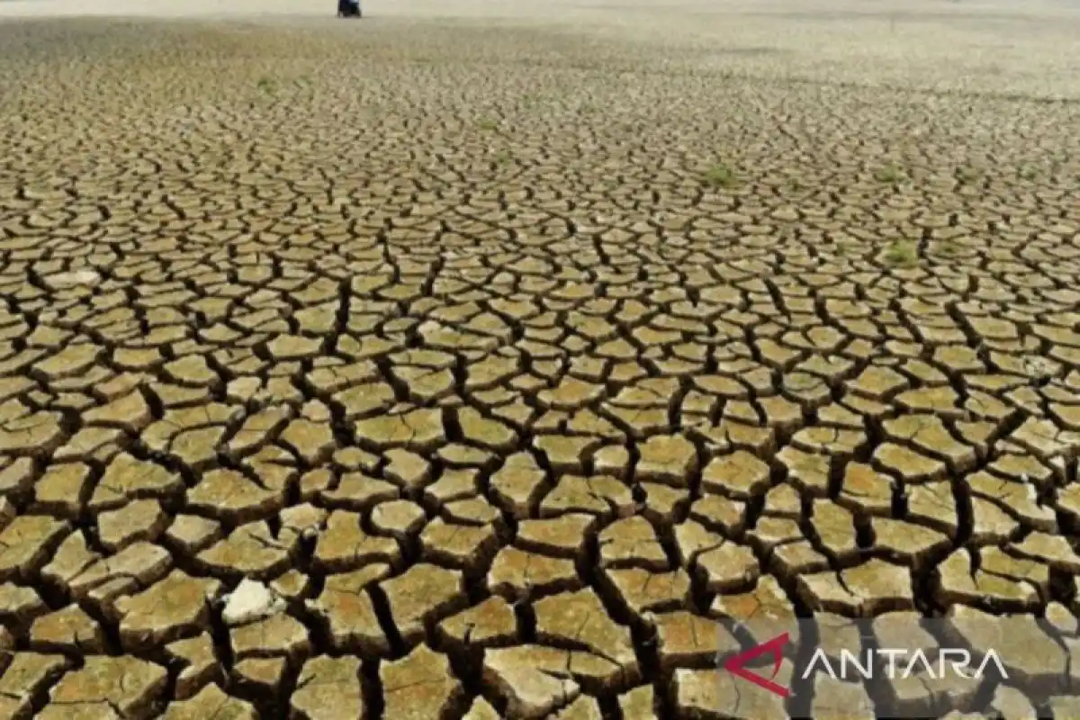 Indeks El Nino Kaltim Capai 3,44, Awal Musim Hujan Diperkirakan Mundur