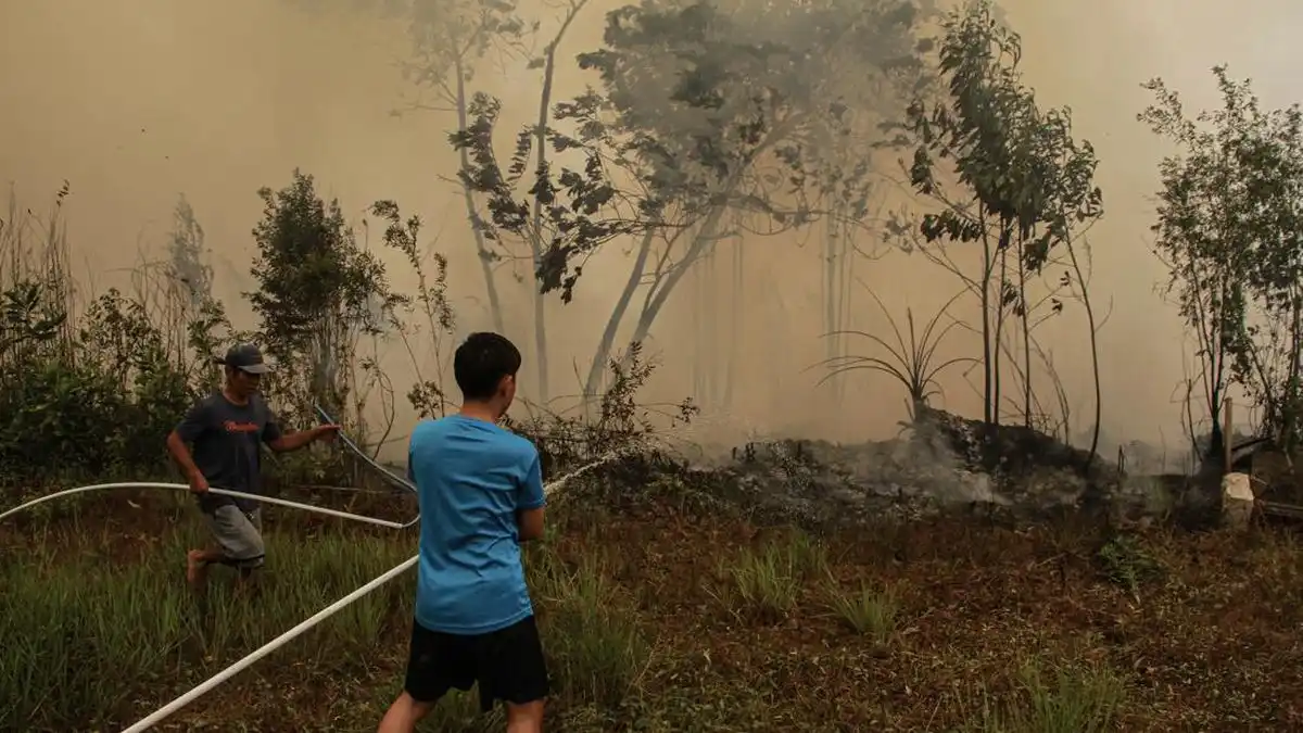 Pemerintah Perkuat Pemadaman Karhutla di Enam Provinsi, 639 Hektare Masih Terbakar