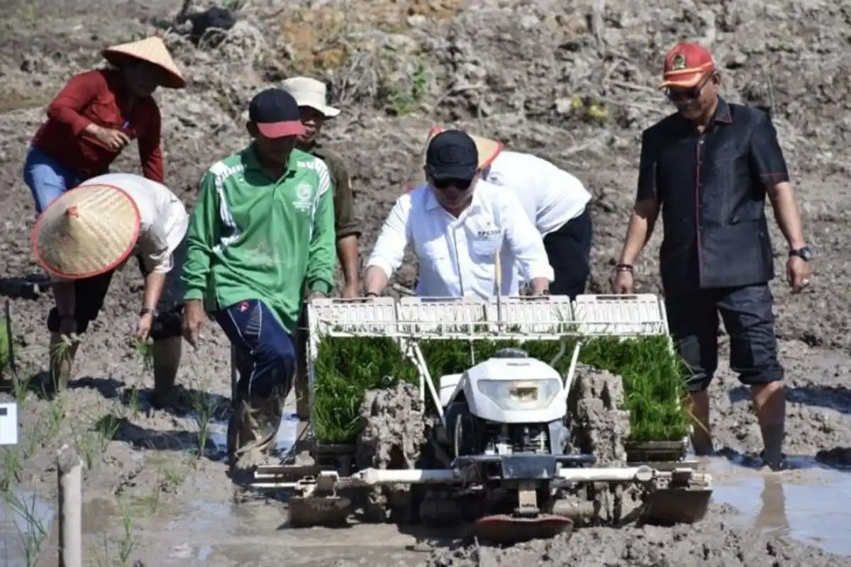 Realisasi Cetak Sawah Kapuas Capai 4.491,30 Hektare