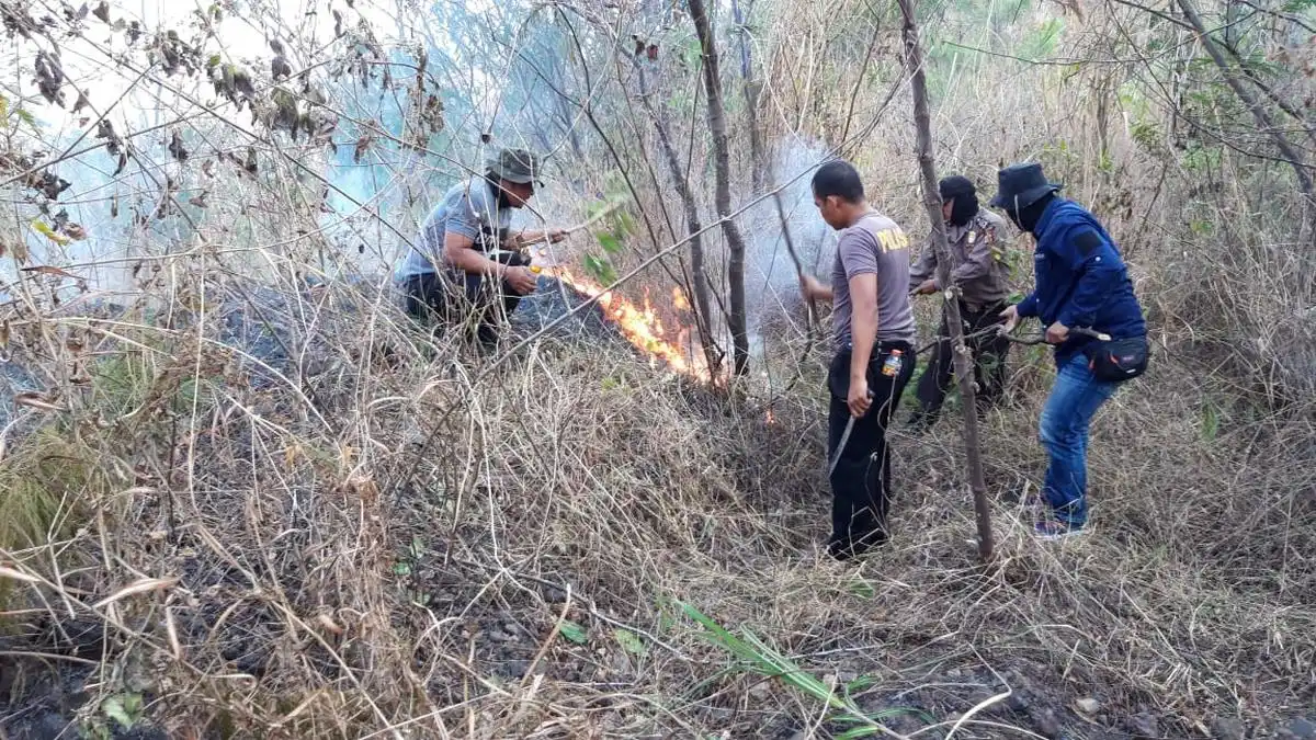 Pemerintah Menargetkan 21.000 Polisi Hutan pada 2027