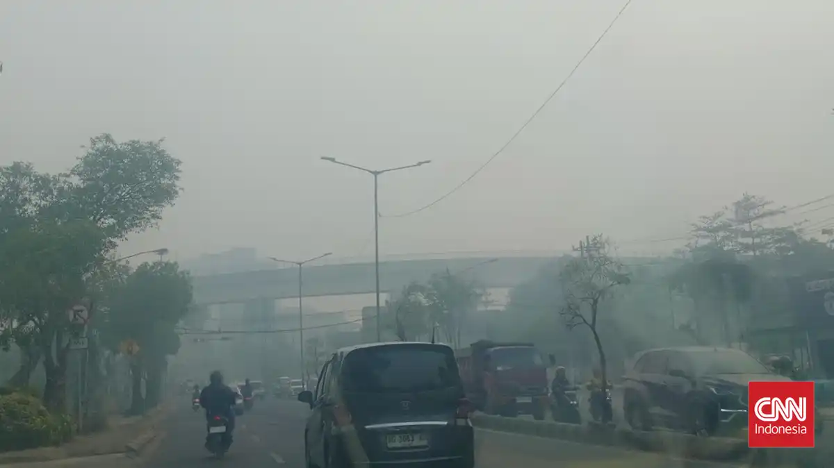 Paparan Asap Karhutla Mengancam Kesehatan Mata, Kemenkes Imbau Warga