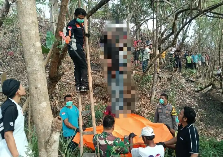 Warga Sentul Lio Temukan Jasad Pria Tergantung di Pohon Petai Cina